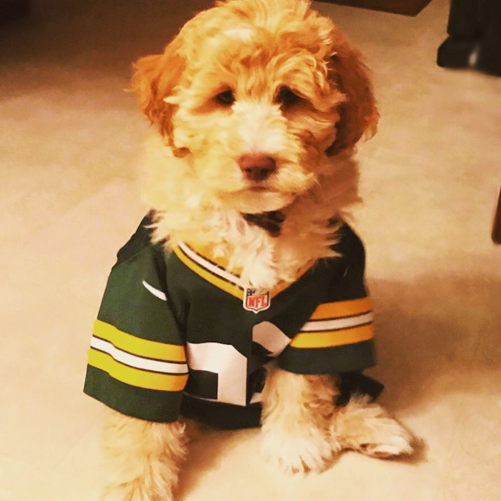 Meet your Posher, Kerri